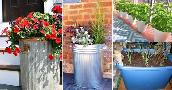 10 Pekebun Dustbin Diy Murah Yang Tampak Hebat