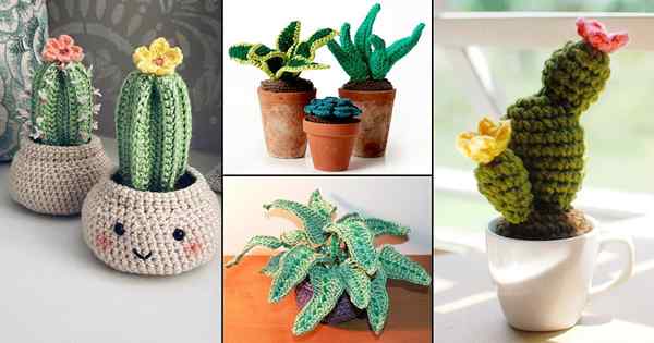 10 modèles créatifs de plantes au crochet de bricolage