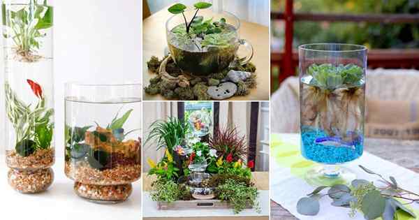 10 ideas creativas de jardín de agua de mesa de bricolaje de bricolaje