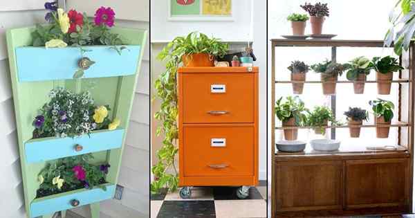 10 DIY KREATIF untuk menjadikan kabinet tumbuhan lama menjadi rumah tumbuhan