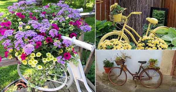 Más de 10 ideas de plantador de bicicleta de bricolaje (barato pero lleno de creatividad)