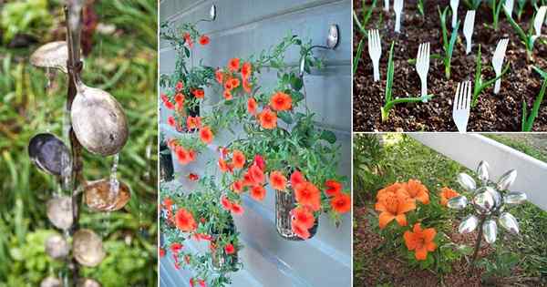 10 artisanat de la cuillère bricolage et idées pour le jardin