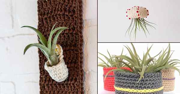 10 {gratuits} Crochet Air Plant Great Modèles