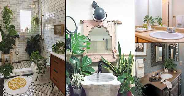 10 impresionantes ideas de plantas de tocador de baño