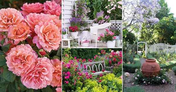 11 artículos que te enseñan cómo crear un jardín de rosas