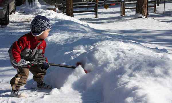 11 melhores palhetas de pá de neve para 2022