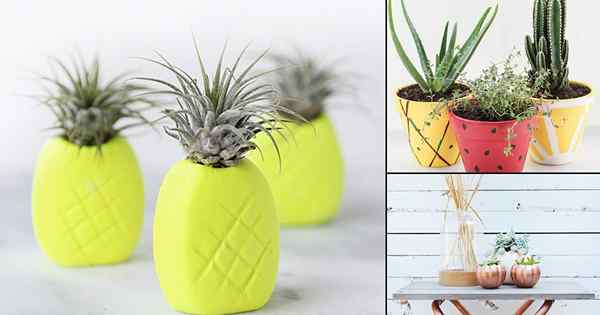 11 plantadores de frutas de bricolage para jardineiros criativos