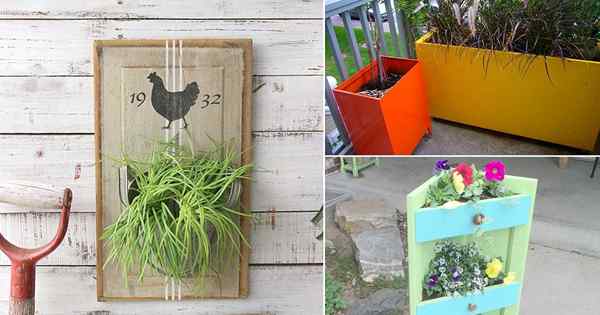 11 DIY Planteurs réutilisés des classeurs