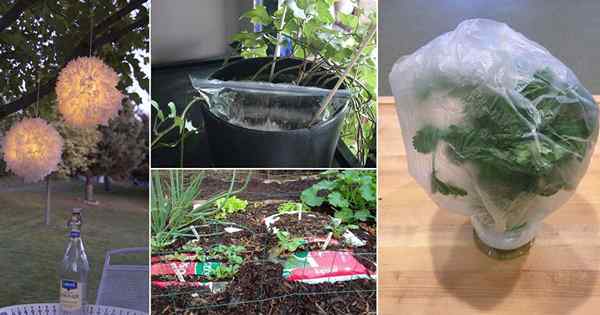 11 DIY -Verwendung von Plastiktüten im Garten, die praktisch und billig sind