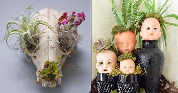 11 Idéias assustadoras de plantador de Halloween para adicionar um sinistro retoque