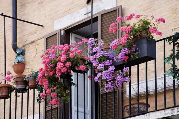 11 Pomysły na balkon małego mieszkania ze zdjęciami