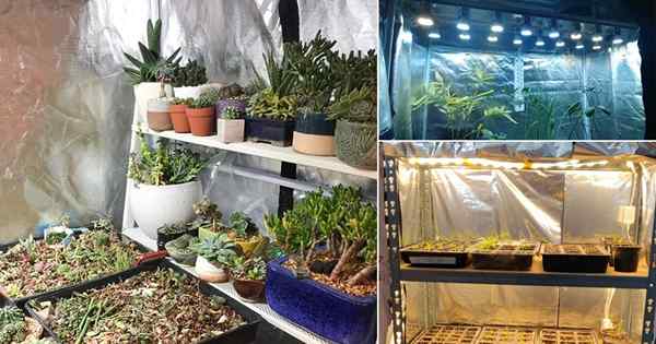 12 ideas de carpas de cultivo de bricolaje para jardineros interiores