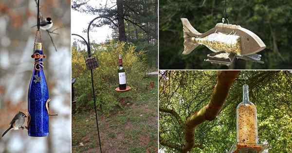 12 DIY Wine Flaschenvogel -Feeder Ideen