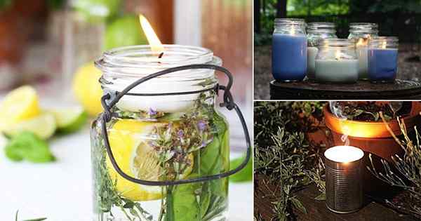 12 velas repelentes de mosquito DIY caseiro