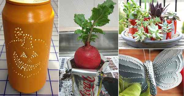 12 Nifty Soda Can Diy Ide dan Penggunaan untuk Taman