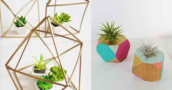 14 Pekebun geometris DIY yang trendi & modern