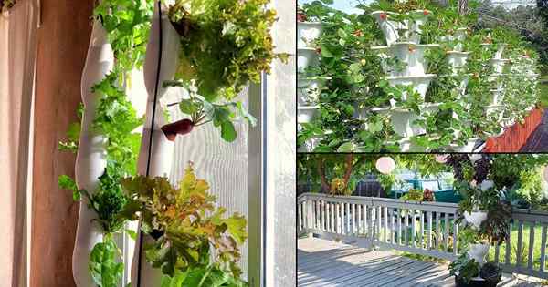 14 DIY Hydroponische vertikale Gartenideen zum Anbau von Nahrung