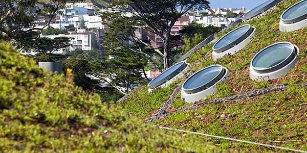 14+ unglaubliche grüne Dachbilder