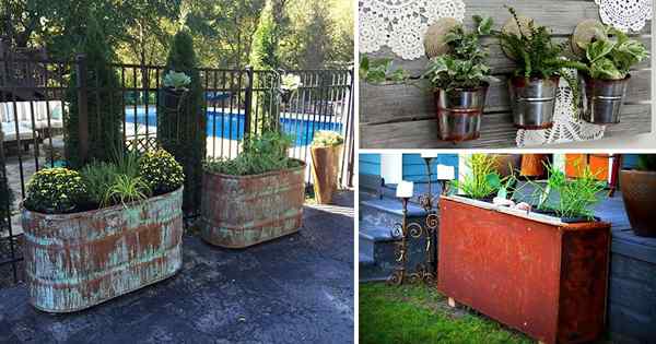 15 ideas atractivas de plantador de pátina de óxido | Plantadores de metal oxidados de bricolaje