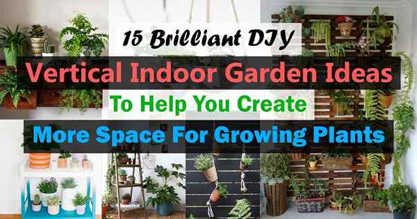 15 ideas brillantes de jardín de interiores vertical de bricolaje para ayudarlo a crear más espacio para el cultivo de plantas