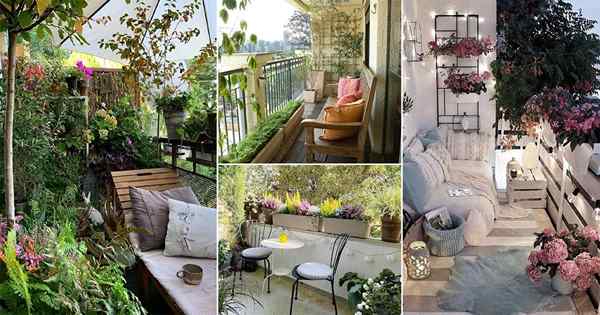 15 Top Balcony Gardens de setembro de 2020 no Instagram