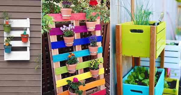 16 idées de jardin vertical bricolage coloré