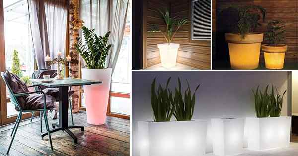 16 Idéias de plantador iluminado em Ideas DIY