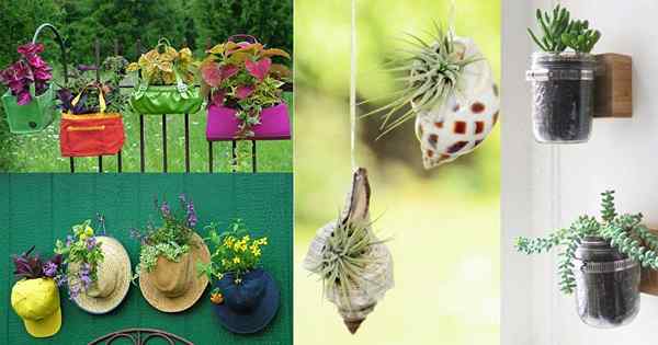 16 idéias de plantador pendurado DIY