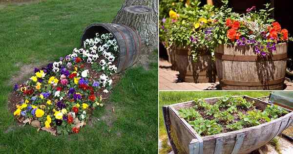 17 melhores idéias de plantador de barril de vinho DIY