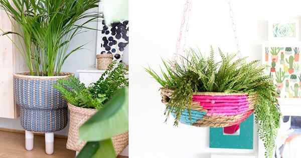 17 Idées de jardinière de panier bricolage pour améliorer la beauté de vos plantes