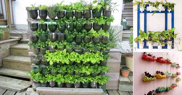 17 ideas de bricolaje para cultivar hierbas en botellas de plástico