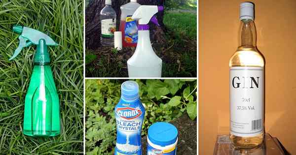 17 Ramuan Magical DIY untuk Membunuh Rumpai