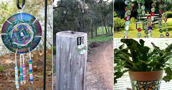 17 DIY verwendet für alte CDs im Garten | Dinge, die aus CDs & DVDs zu machen sind