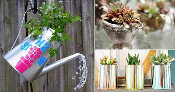 17 lindas idéias de plantador de prata DIY