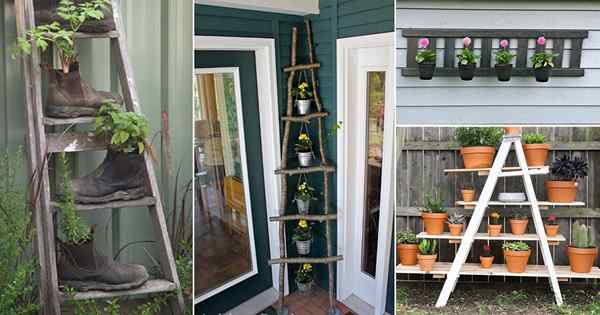 17 Idéias engenhas de plantador de escada vertical DIY para jardineiros de contêineres