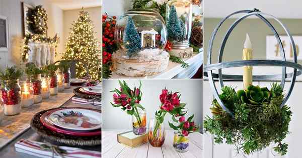 18 belas idéias de presentes de plantas de bricolage para o Natal