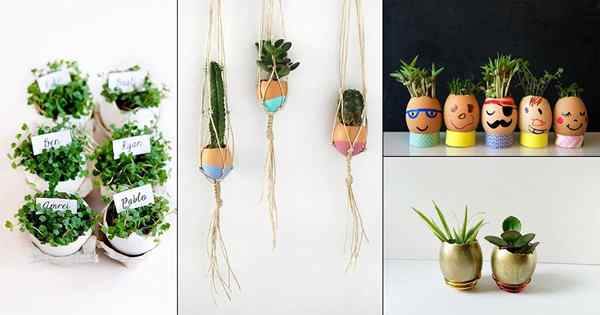 18 Idées de coquille d'oeuf diy pour les jardiniers | Planteurs d'oeufs de Pâques