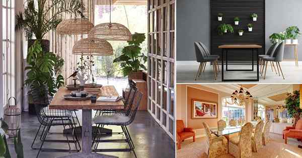 18 ideas de decoración de comedor de plantas de interior