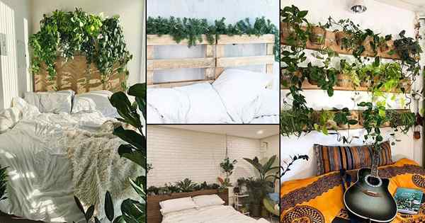 18 Idea Headboard Loji untuk Pencinta Ultimate Houseplant