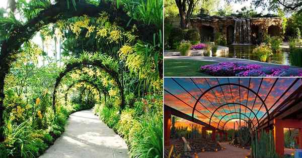 19 meilleurs jardins botaniques du monde