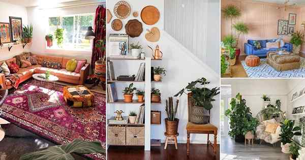 20 hermosas ideas de decoración marroquí con plantas