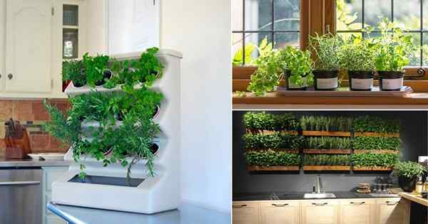 20 idées de jardin de cuisine intérieur | Jardin d'herbes dans la cuisine