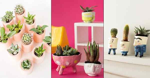 20 zbyt uroczych mini plantatorów DIY dla sukulentów