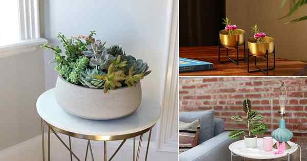 20 Idea Menghias Meja dengan Houseplants Potted Kecil