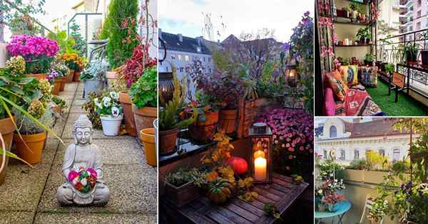 20 Top Balcony Gardens de novembro de 2020 no Instagram