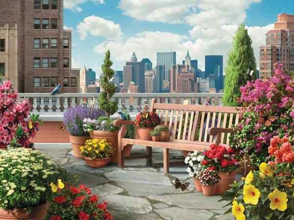 21 Beautiful Terrace Garden Images que vous devriez chercher de l'inspiration