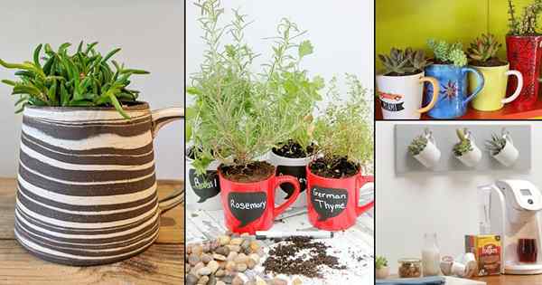 22 Adoráveis ​​idéias de plantador de caneca de café DIY