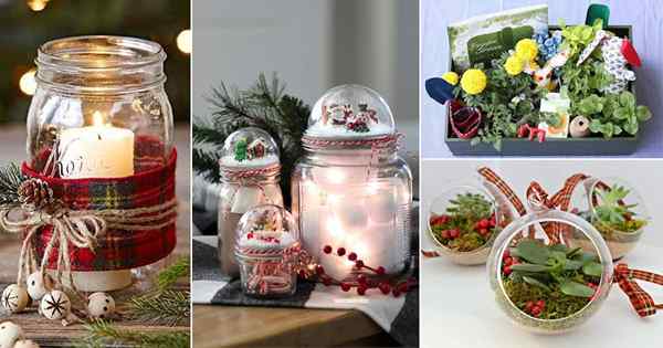 22 Regalos creativos de Navidad de bricolaje para jardineros