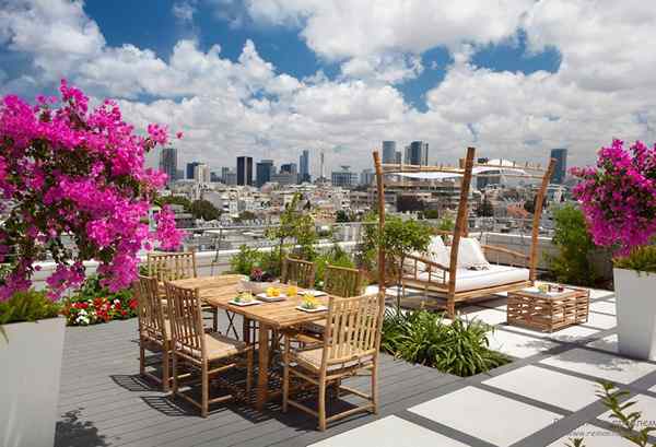 23 consejos de jardín de terraza para convertirlo en un oasis urbano | Consejos de jardinería en la azotea