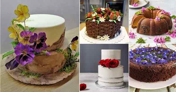 24 fleurs comestibles pour les gâteaux et garnissant